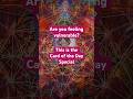 There'sAlwaysLight #lightworker #light #shorts #guardianangels #spiritualmessage #tarot #oraclecards
