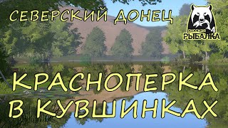 Русская рыбалка 4. Северский Донец. Фарм. Спиннинг. Красноперка. Вертушки.