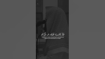 الشيخ محمد اللحيدان | سورة الزمر #قران_كريم #محمد_اللحيدان #سورة_الزمر