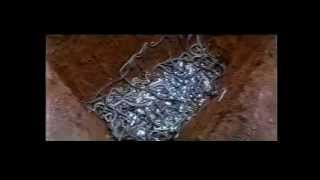 Calamity of Snakes (1983)