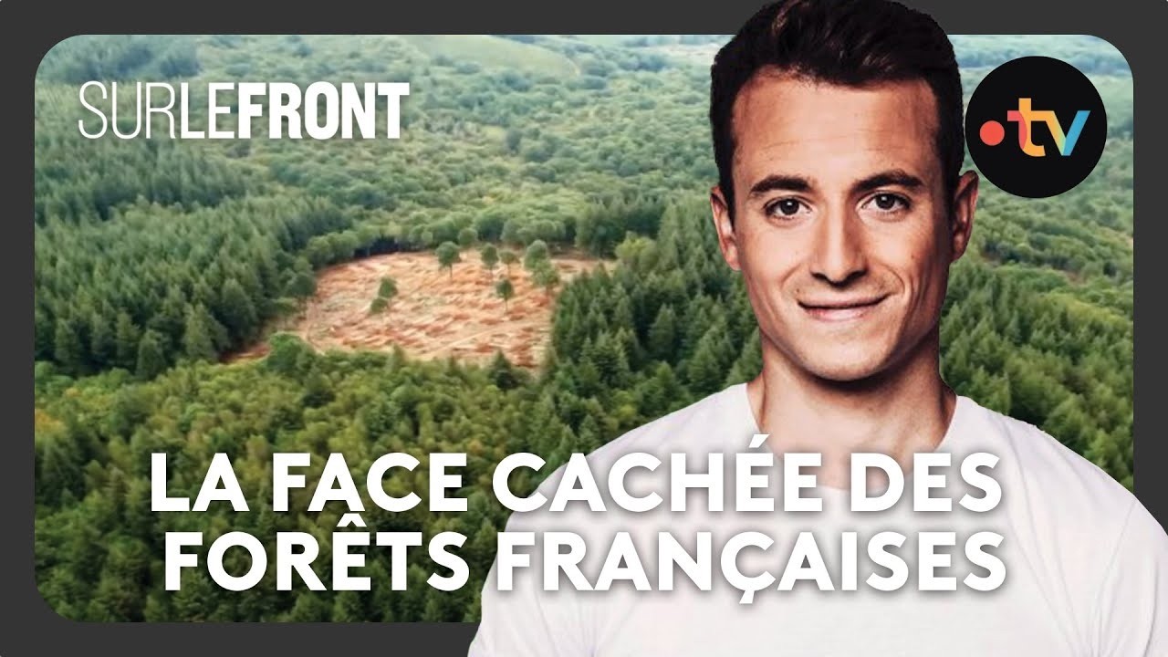 La face cachée des forêts françaises - Sur le front avec Hugo Clément
