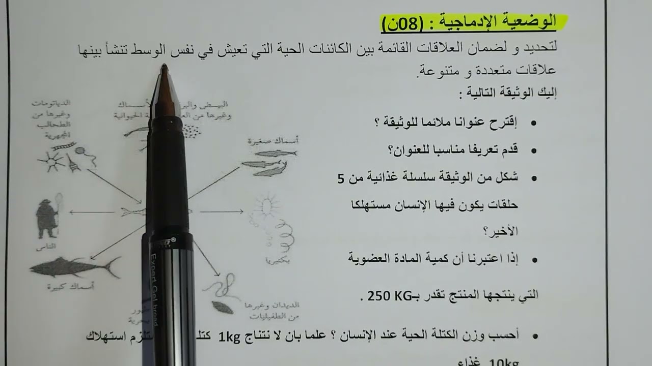 أقوى حل للإختبار الأول متوقع بقوة 2 متوسط 2026