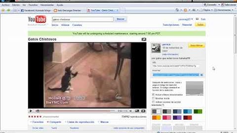 Tutorial Dreamweaver Cs4 Insercion de elementos multimedia Video Incrustado Audio Espaol