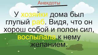 Как Раб Хозяйку Драл… Подборка Смешных Жизненных Анекдотов Лучшие Короткие Анекдоты