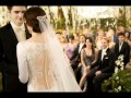 Flightless Bird (Twilight & Breaking Dawn part 1)