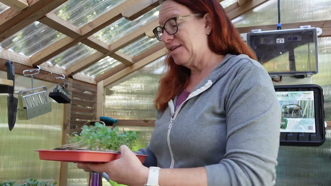 Greenstalk refresh, bumping up seedlings and stuffed butternut squash