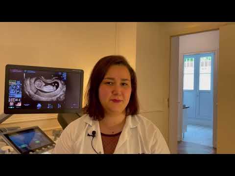 Vidéo: Comment déterminer le sexe par le placement du placenta ?