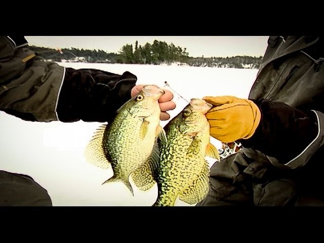 Mid-Winter Crappies Away From the Crowds - In-Depth Outdoors TV