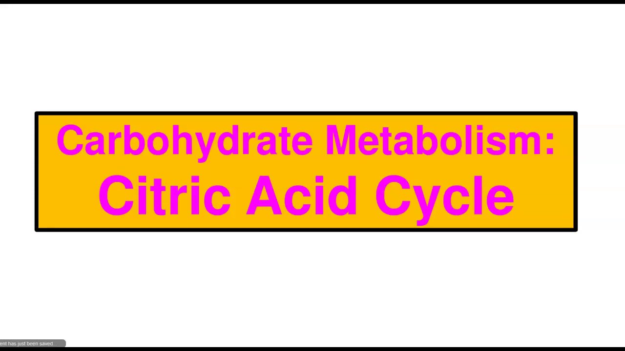 Carbohydrate Metabolism: Citric Acid Cycle-1