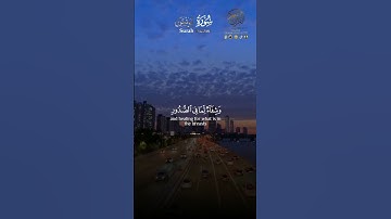 تلاوة بديعة للأخ محمد لشرم من سورة يونس( أَلَآ إِنَّ لِلَّهِ مَا فِى ٱلسَّمَٰوَٰتِ وَٱلْأَرْضِ ۗ )🌹