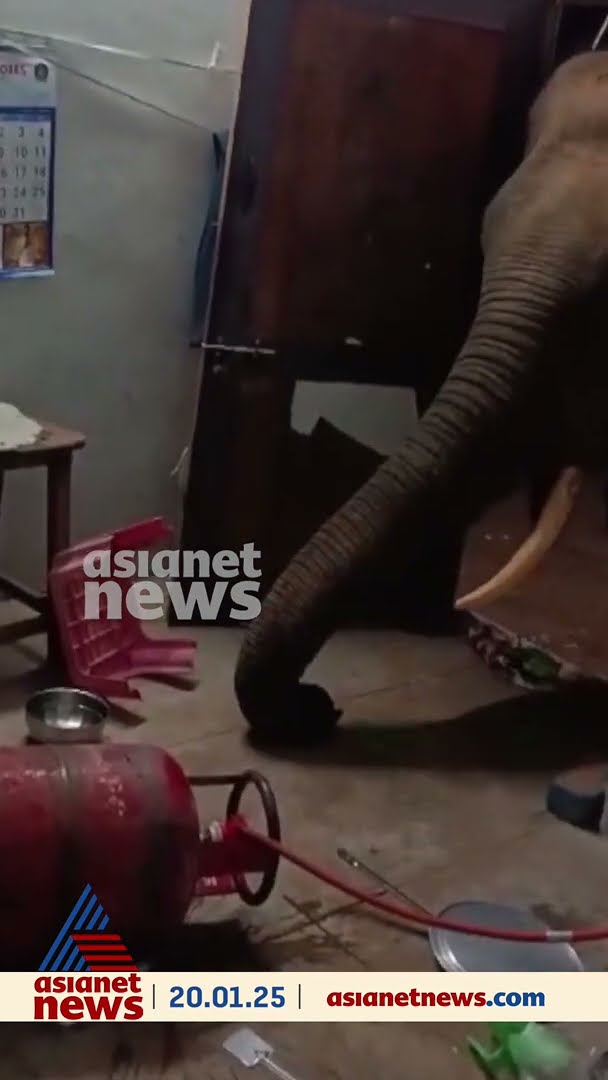 കലിപ്പ് തീരണില്ലല്ലോ, കോയമ്പത്തൂരിൽ അടുക്കള തകർത്ത് കാട്ടാന