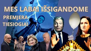 Euforija stribyne: Tapinas juos