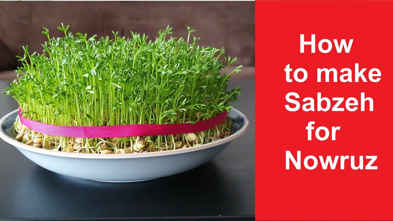How To Grow Sabzeh For Nowruz