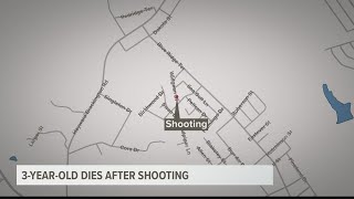 3-year-old dead after accidental shooting in Richland County