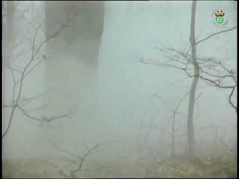 Bilahoudoud Doublage زبيدة تع شكوبي