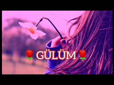 Elşad Musayev - Gülüm (Şeir 2020)