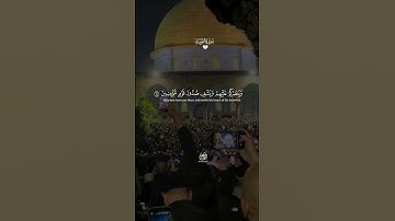 سورة التوبة، القارئ احمد خضر #قرآن