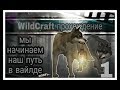 🥀Прохождение WildCraft ▶ начинаем наш путь ?[|акк на прокачку|]