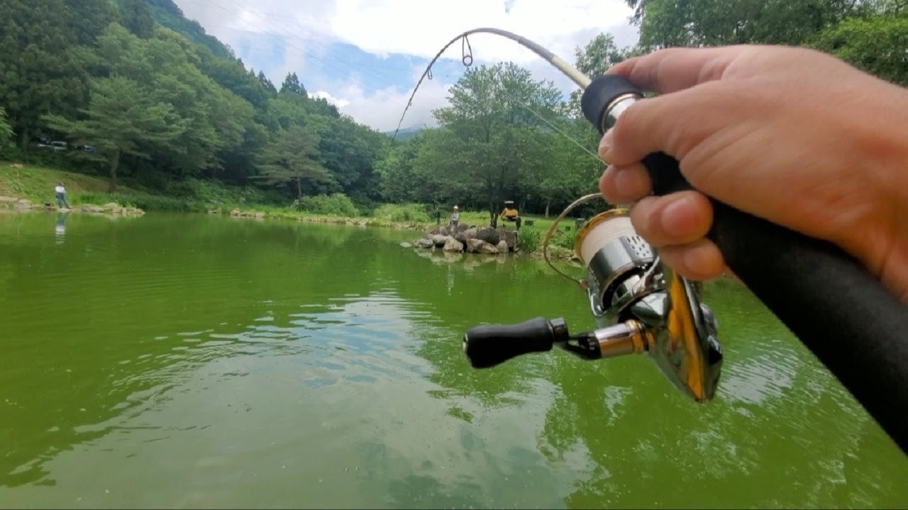 超大物がウヨウヨしてる池で巨大トラウトを狙う【エリアトラウト】【管理釣り場】【蛇尾川フィッシングパーク】