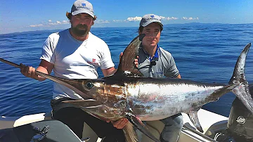 Come avviene la pesca del pesce spada?