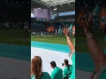 Miami Dolphins flag crew