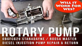 Rotary Pump Rebuild for Watch Wes Work 1650 Oliver Tractor  DBG Stanadyne Roosa Vintage Pump Repair