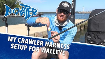 Crawler Harness Set Up for Walleye Fishing - My Rig for Lake Erie Walleye