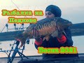 Карповая рыбалка на ПОДКОВЕ. Открытие сезона 2021. Рыбалка ранней весной.