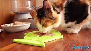 How to Use a LickiMat Slow Feeder for Your Cat | Watch a Kitten Enjoying Wet Food Slowly