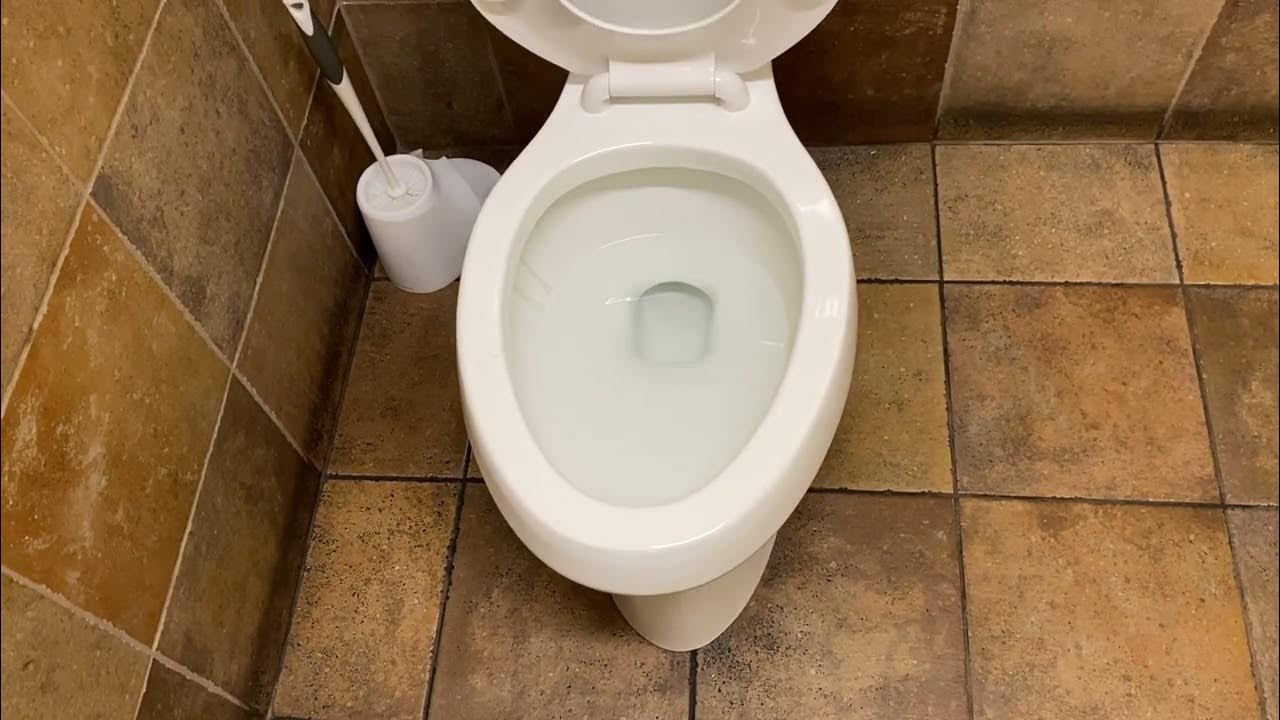 [234] Petsmart Restroom YouTube