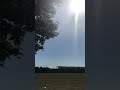 A Nice Sunny Autumn September 14 9 19 London UK A Nice Sunny Autumn September 14 9 19 London UK