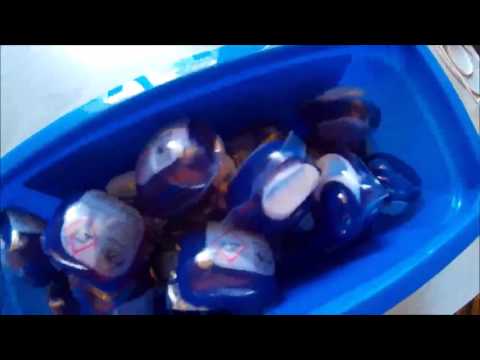 Dash 2en1 Perles