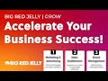 Accelerate Your Business Fast with Big Red Jelly's Proven Growth Services and Innovative Strategies