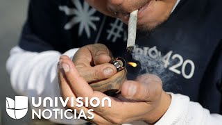 Senado de México aprueba el uso recreativo de la marihuana: falta el aval de la Cámara de Diputados