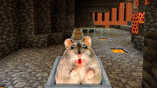 Hamster in UNDERGROUD MAZE in Minecraft