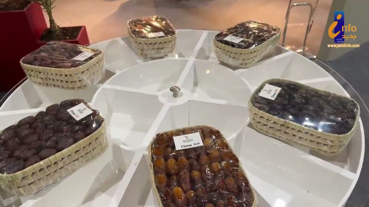 جولة وسط أروقة الملتقى الدولي للتمر بأرفود 2024