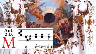 Me etenim (For they seek me) - Lauds Antiphon - Latin Gregorian Chant