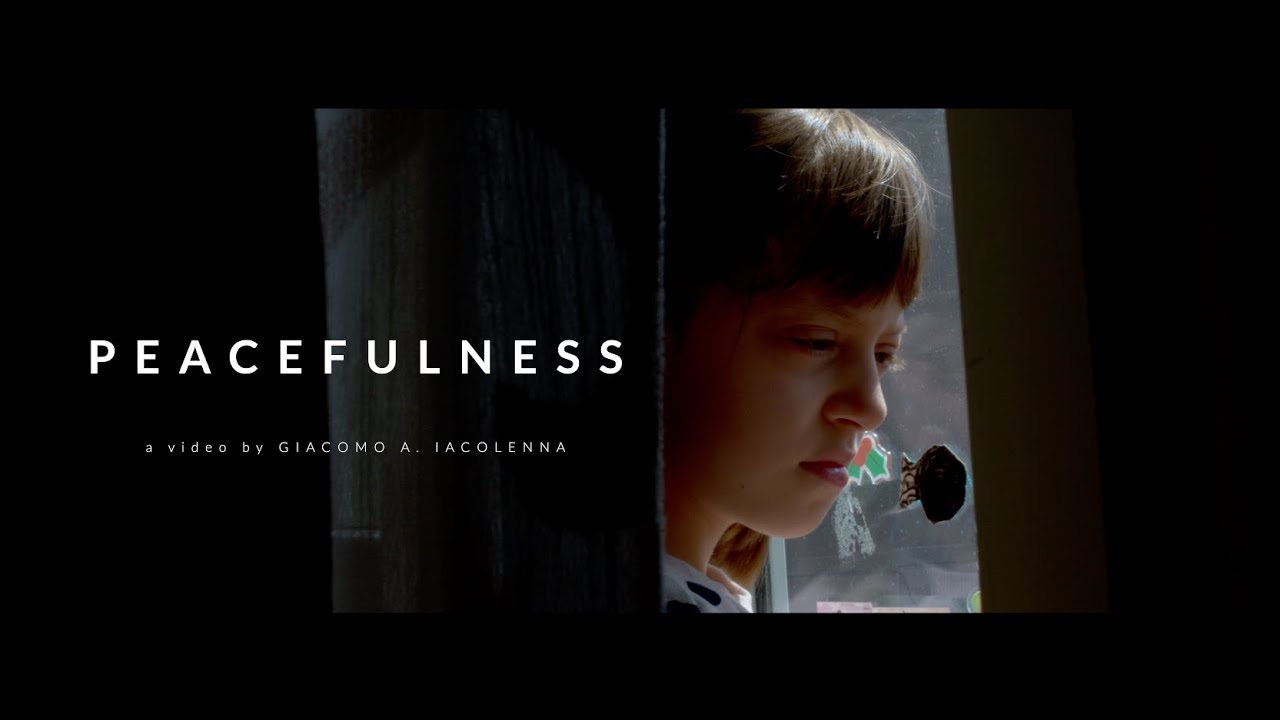 PEACEFULNESS | Bmpcc 6k (Canon 35mm f2 Is Usm + Color Grading)