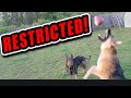 🔴RESTRICTED!