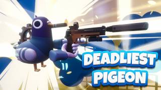 If John Wick was a Pigeon ... Deadliest Pigeon