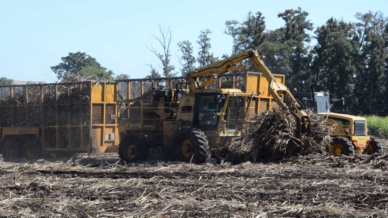 Game Equipment's 4700LX Sugar Cane Loader YouTube
