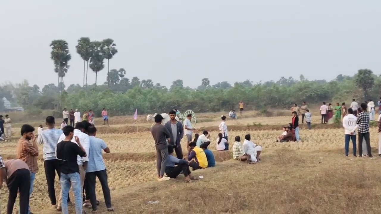 Lekkala Sathibabu 🏆🥇1st Prize in Koduru Race 