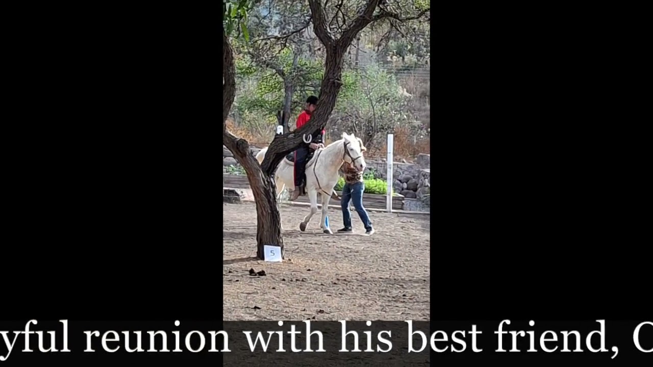 Dani Equine Therapy, December 16, 2025