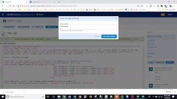 SDS51 Workflow and Artifact Versioning in Spotfire Data Science