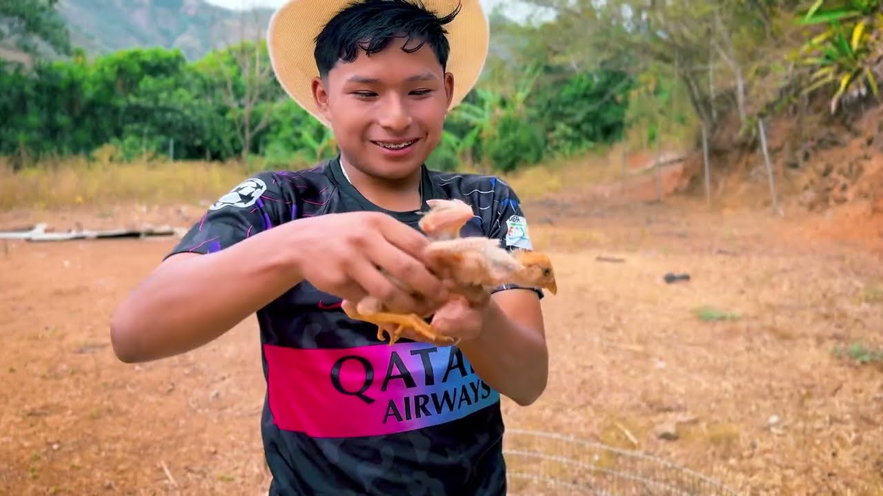 Tengo que cuidar 50 pollitos que me regalo mi papá Edgar