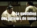 Le quotidien des lutteurs de sumo  nipponcom