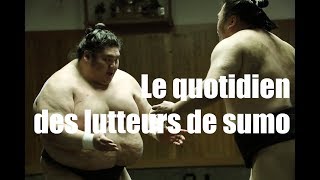 Le quotidien des lutteurs de sumo | nippon.com