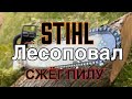 Stihl ,лесоповал ,сжёг пилу