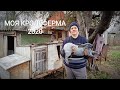 МОЯ КРОЛЕФЕРМА 2020