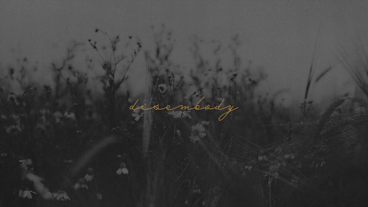 Grandyzer & Sinius - Disembody